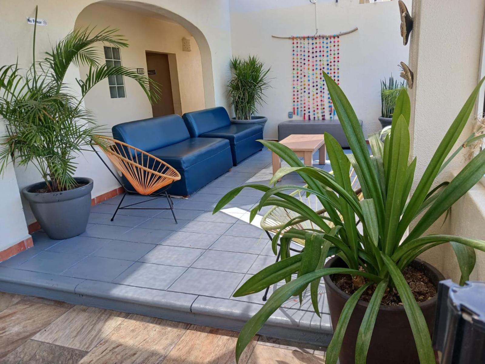 Suites Las Palmas San Jose del Cabo Luaran gambar